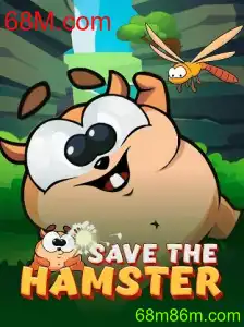 Descubra o incrível mundo de SavetheHamster